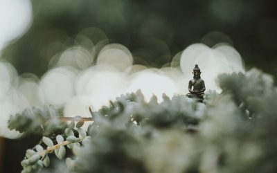压力时代，掌控心灵的冥想日常