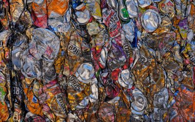 零廢棄生活入門指南：邁向永續的每一步