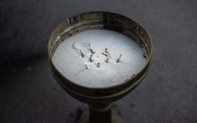 告别旧我,迎接新生:戒除坏习惯的心理学智慧