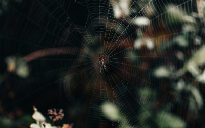 2025年博客谷歌SEO终极指南：驾驭AI时代，让您的内容脱颖而出！